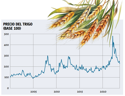 Evolución del precio del tripo en los últimos 23 años.